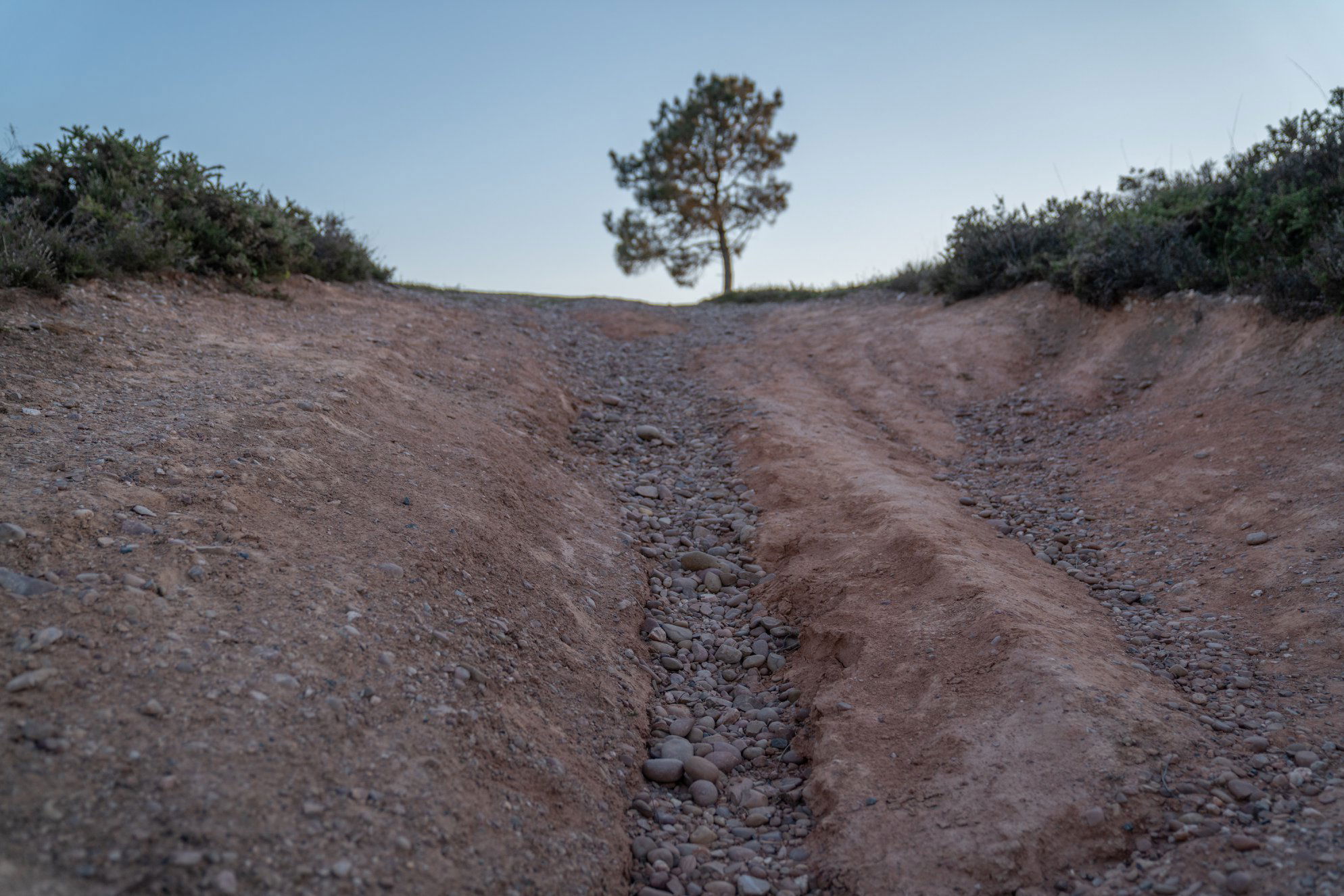 Bicton Common. The pebbles are c.230,000,000 years old. - Andy Thatcher