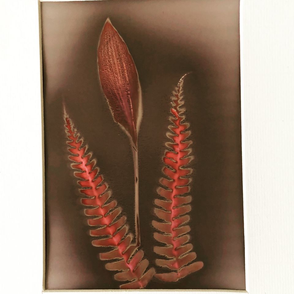 Untitled - Nicola Williams