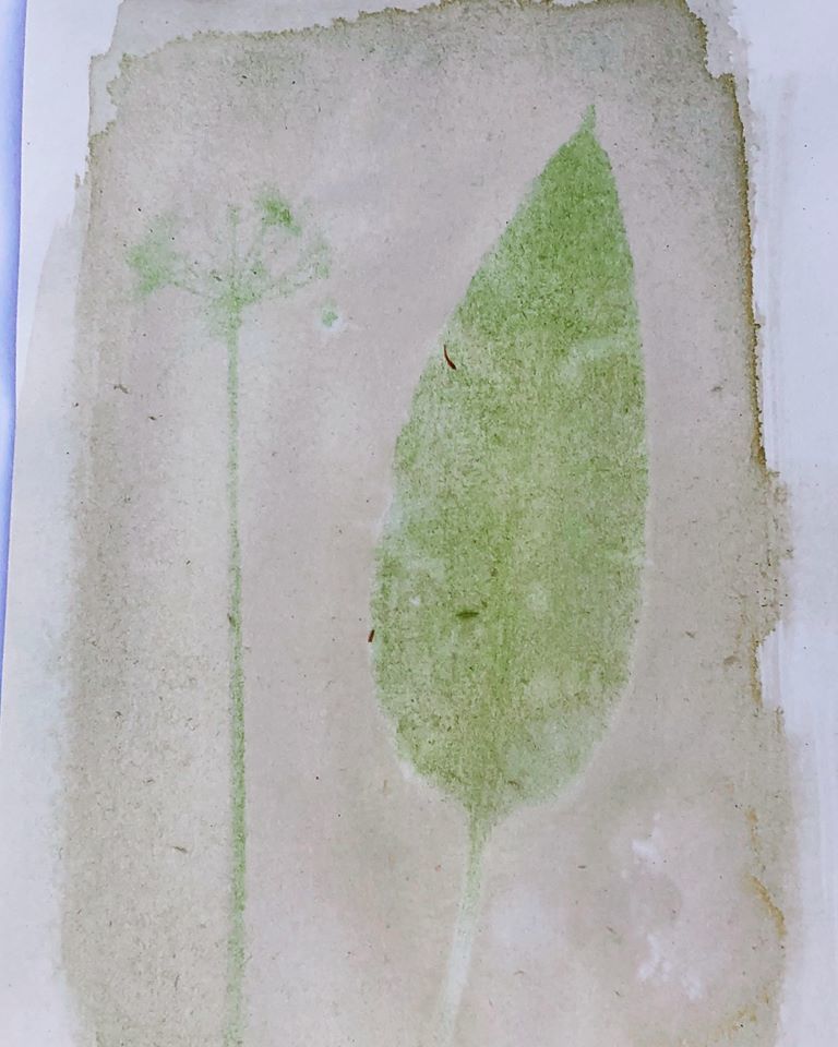 Untitled - Nicola Williams