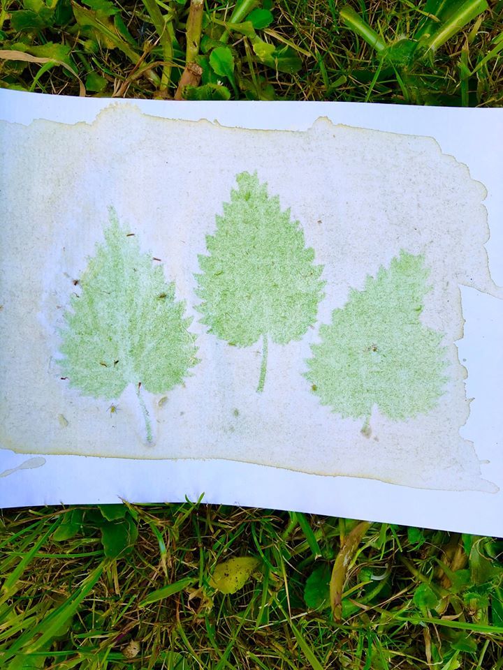 Untitled - Nicola Williams