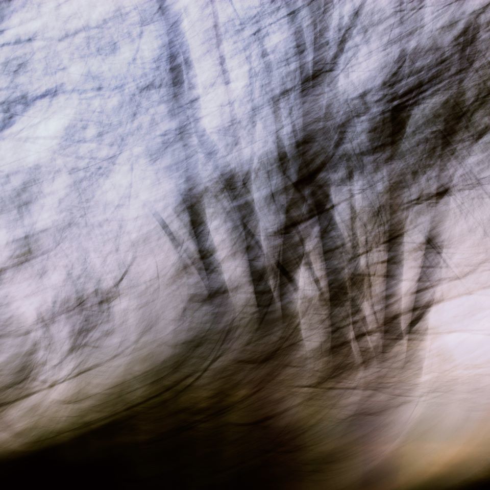 Untitled - Isabel Curdes