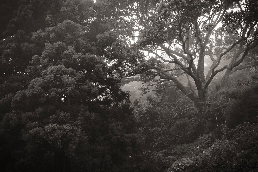 Untitled - Nathan Ross