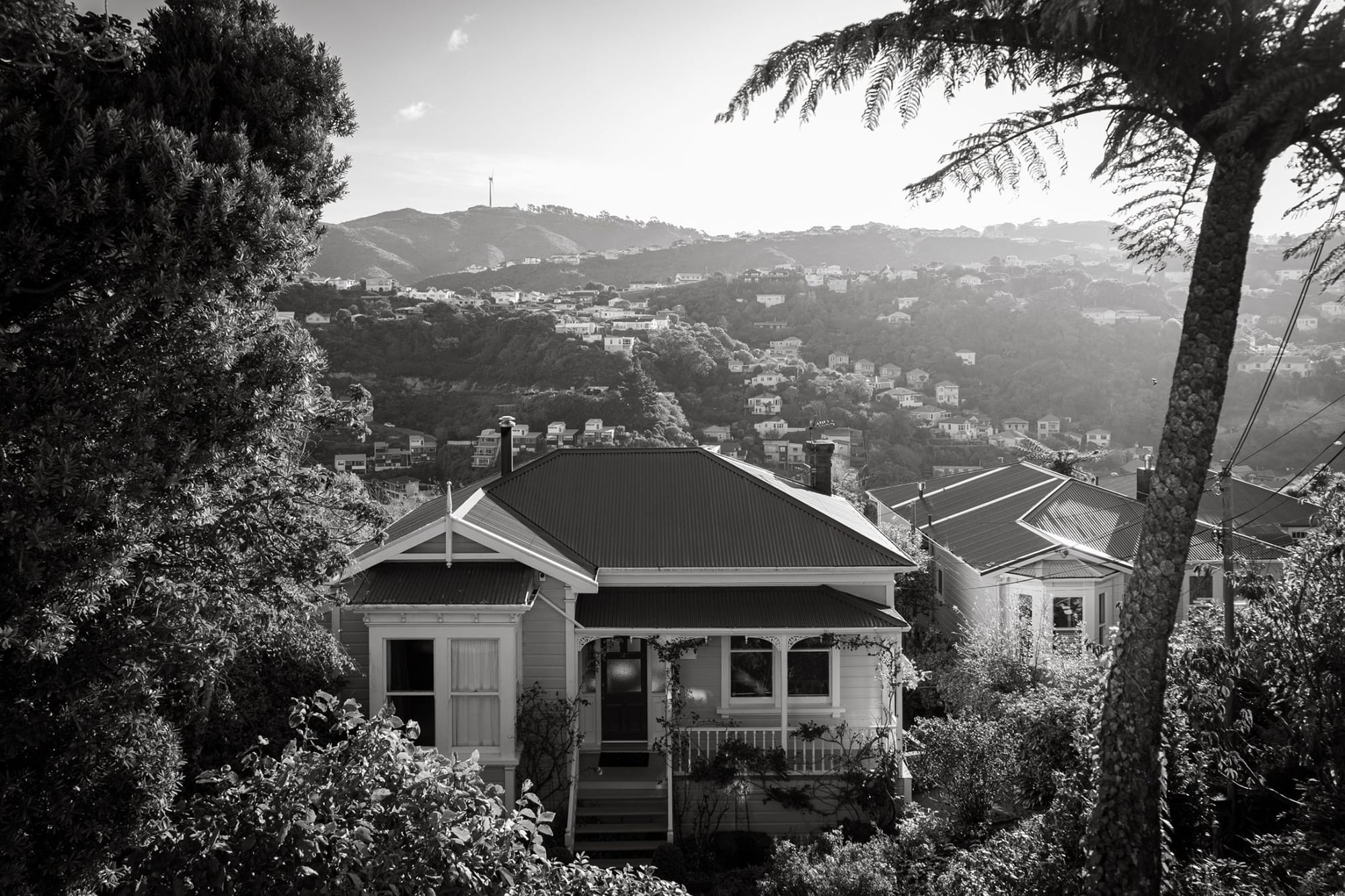 Untitled - Nathan Ross