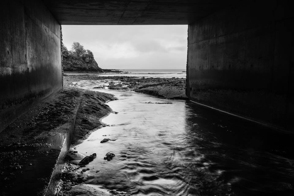 Untitled - Andrew Tobin
