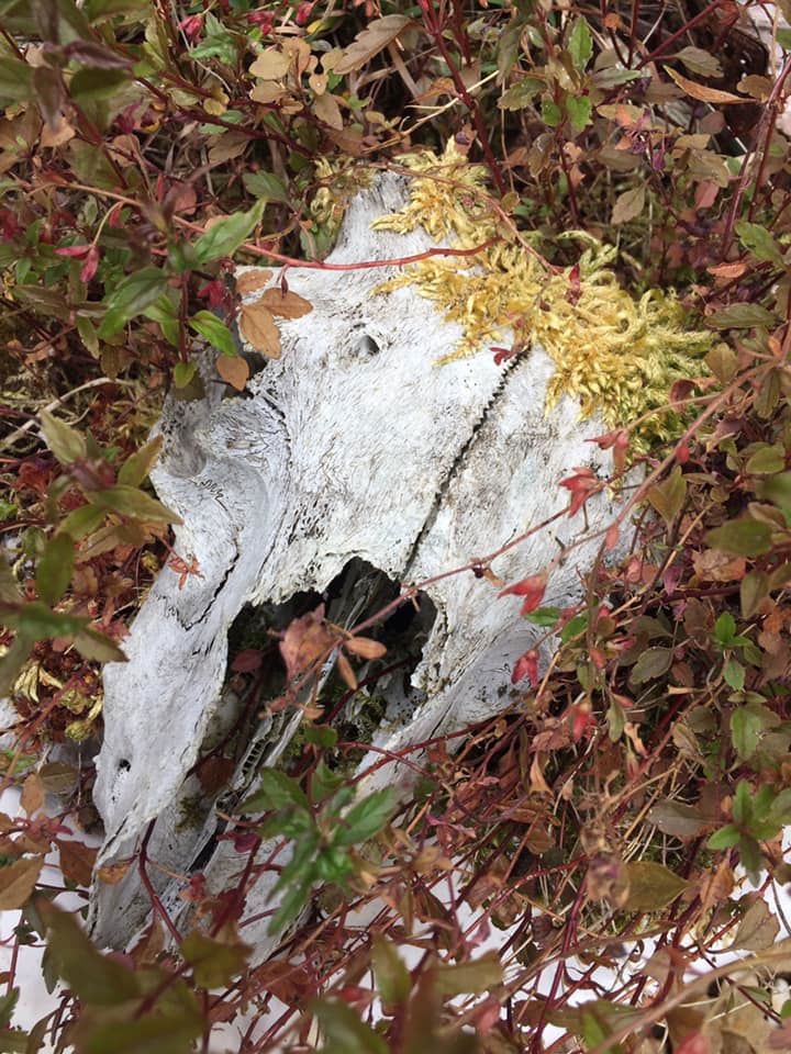 To the soil we return - Andy Billington