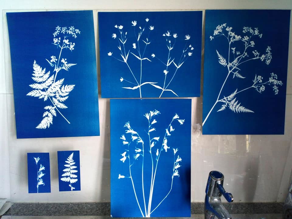 Cyanotypes - Jill Welham
