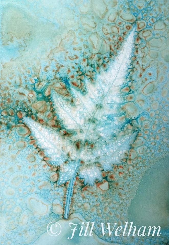 Untitled - Jill Welham