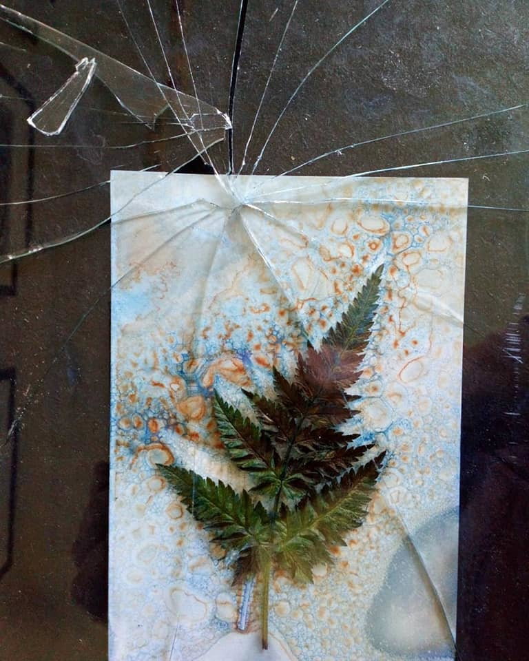 Unitled - Jill Welham