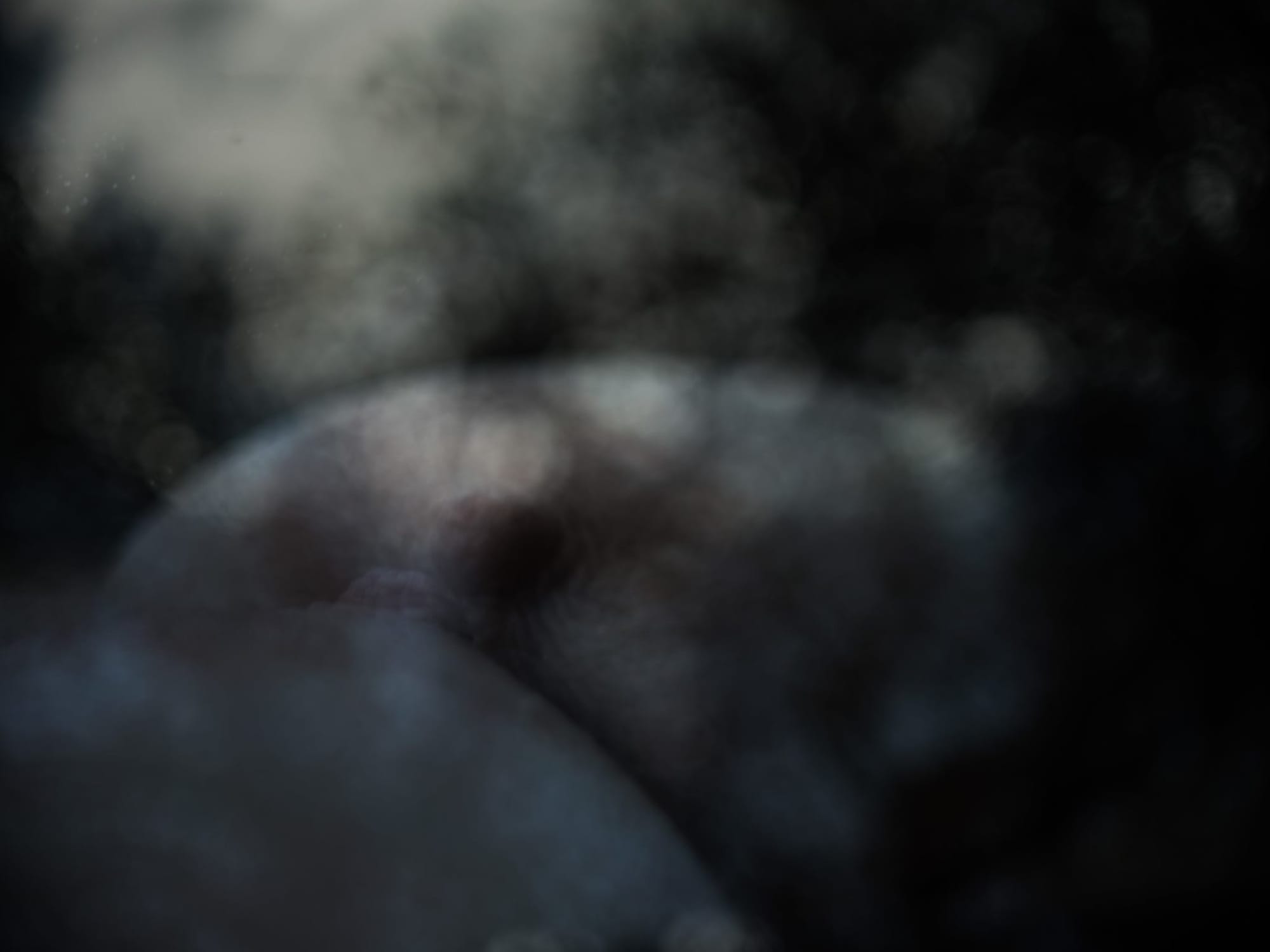 Untitled - Isabel Curdes