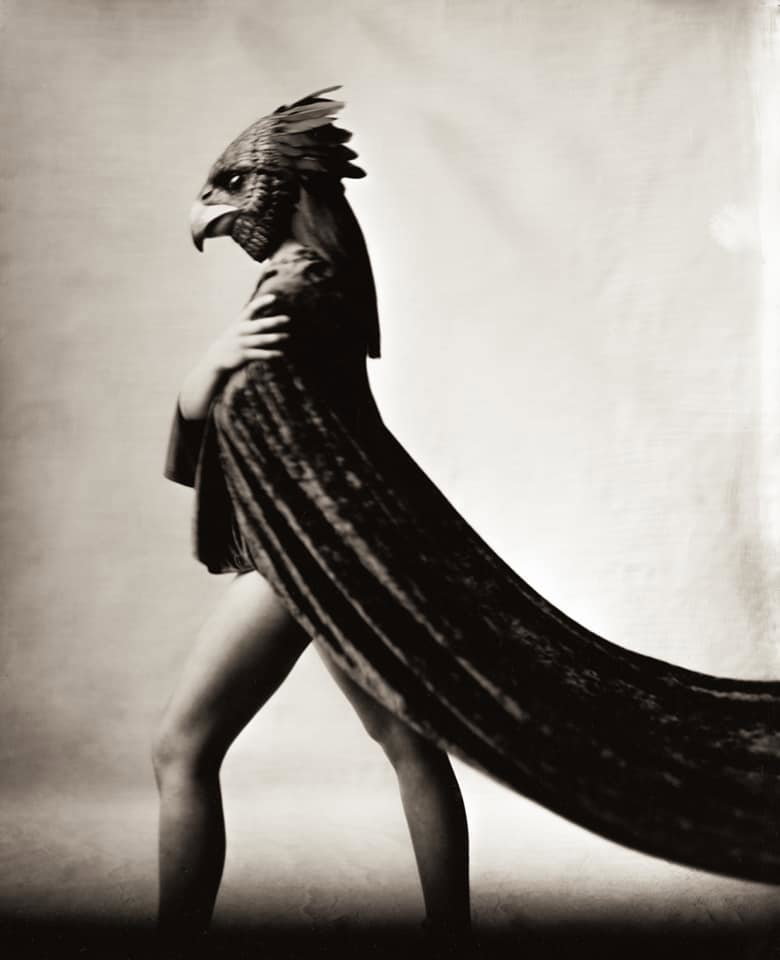 "The Sirin"  - Shane Balkowitsch