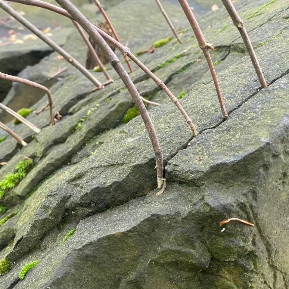 connection - Greg Martin