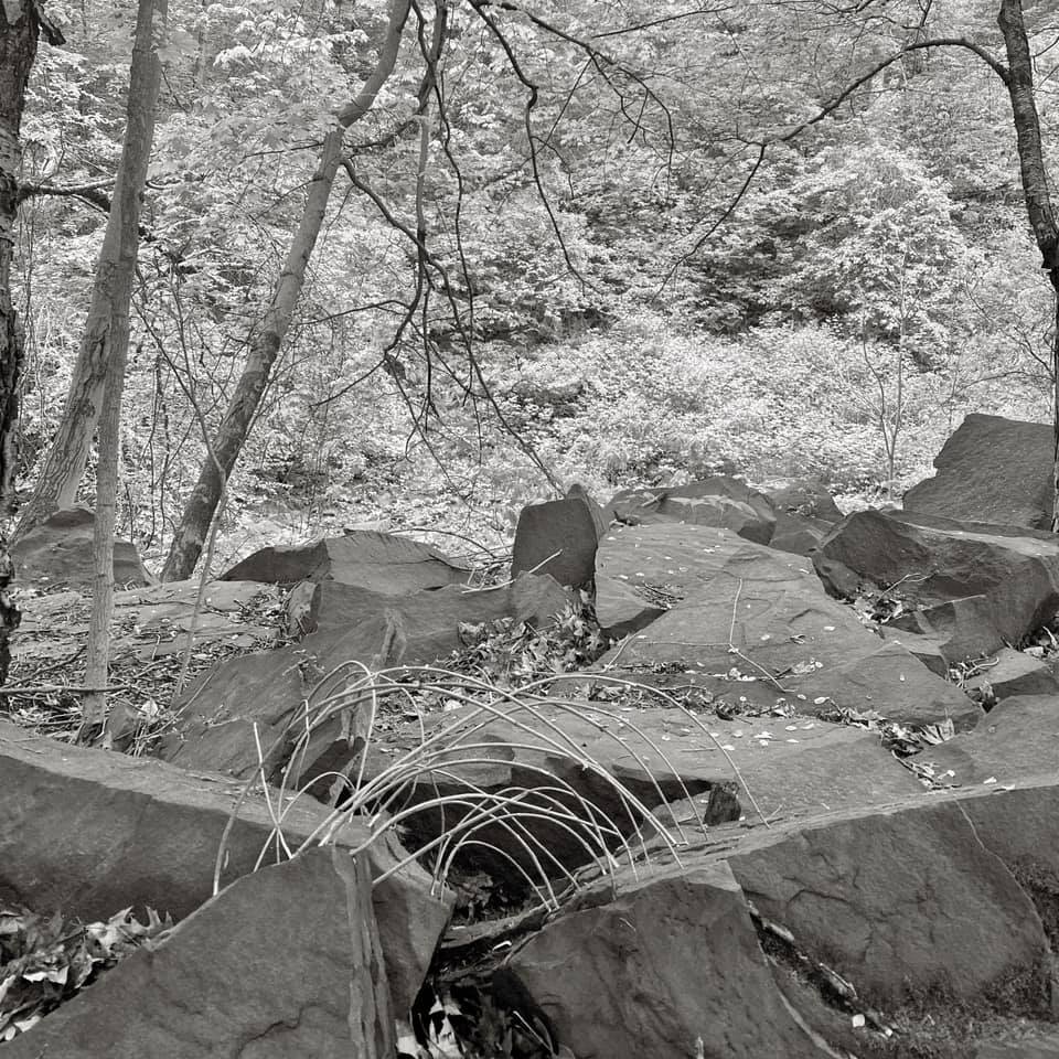 connection - Greg Martin