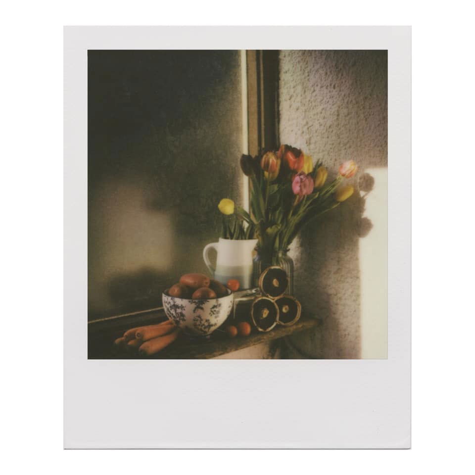 Untitled - Hilary Clarke