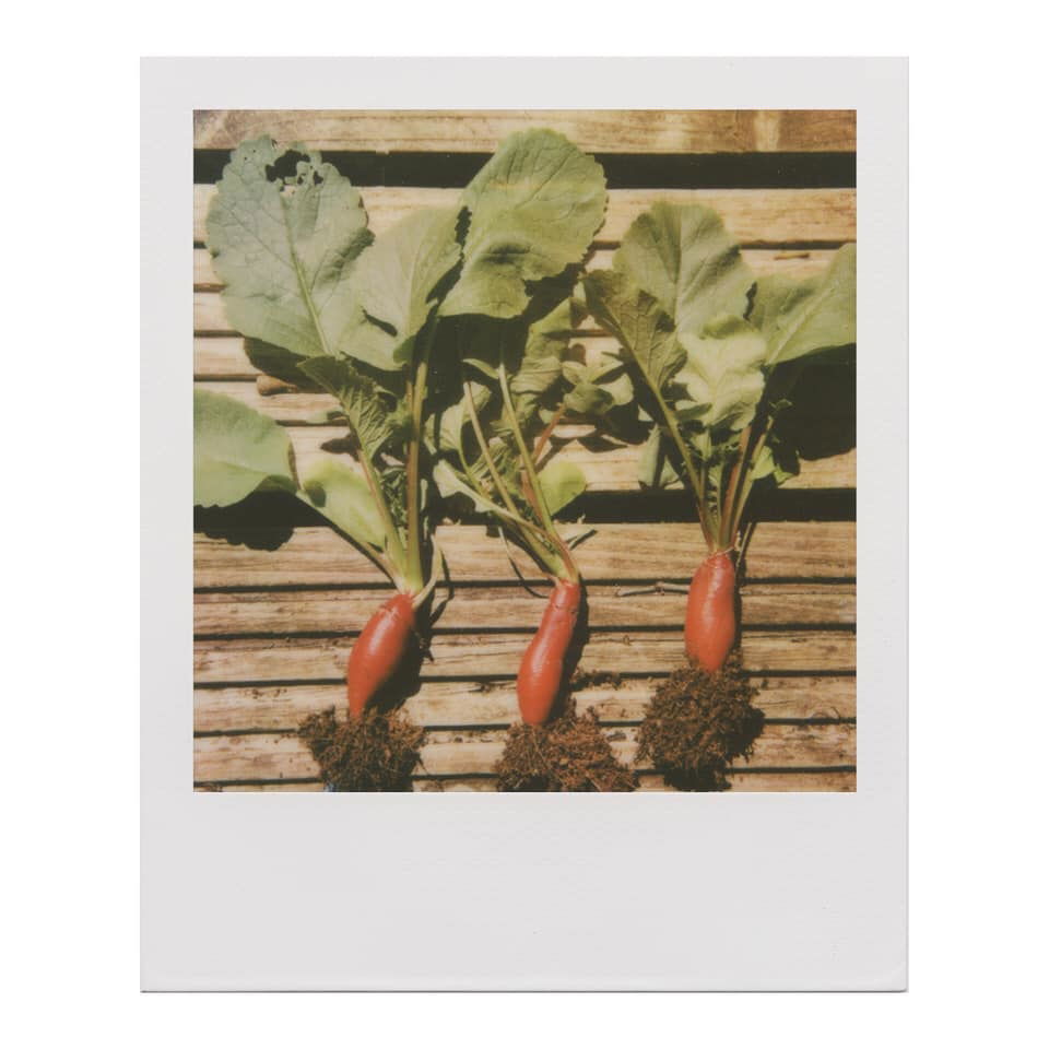 Untitled - Hilary Clarke