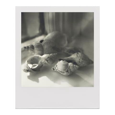 Untitled - Hilary Clarke