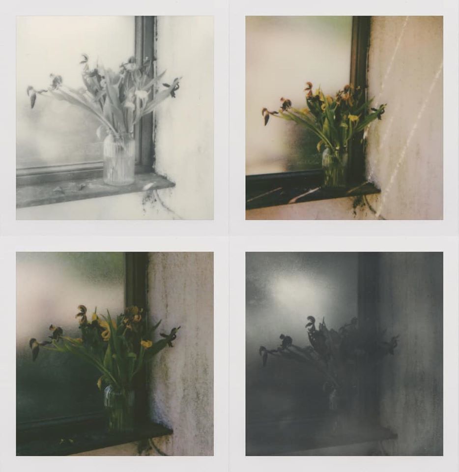 Untitled - Hilary Clarke