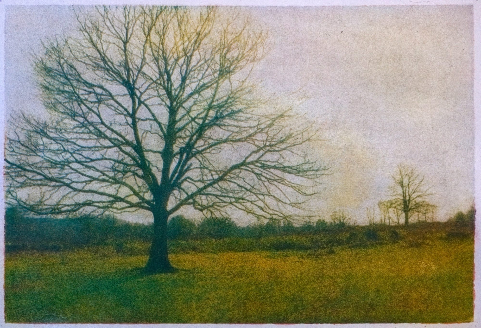 Untitled - Alan Glover
