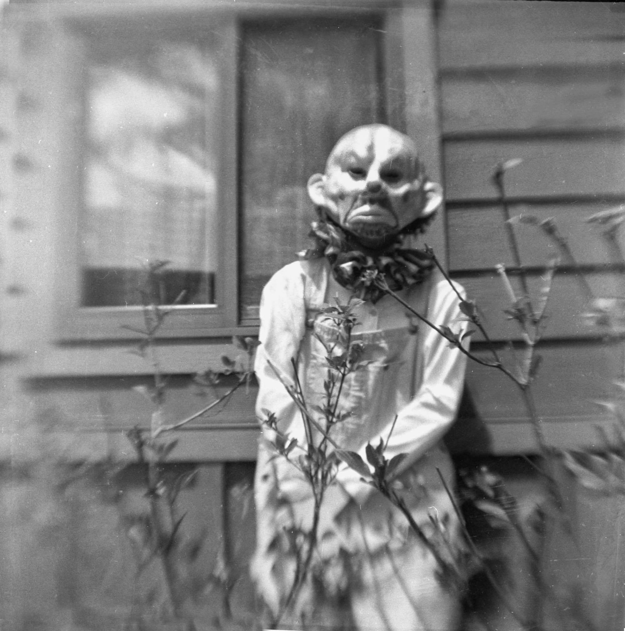There is something evil outside my window!   - Diane Peterson