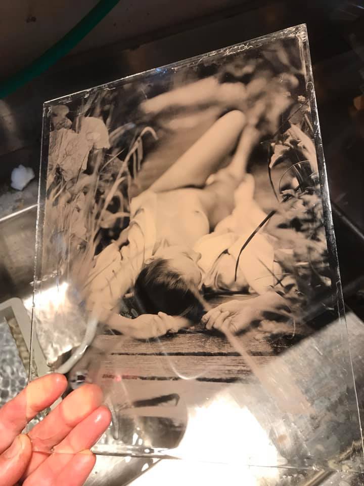 Sunlight - Glass & Collodion  - Dave Shrimpton