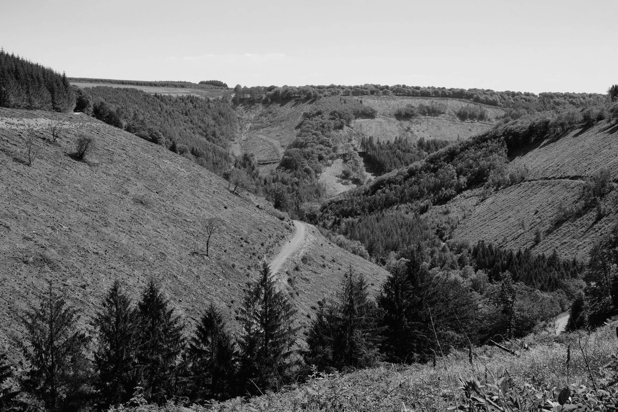 ‘Day on Bald Mountain’ – to paraphrase the title of a famous musical work. (With apologies to Modest Mussorgsky and Nikolai Rimsky-Korsakov!) - Tony De Sarzec