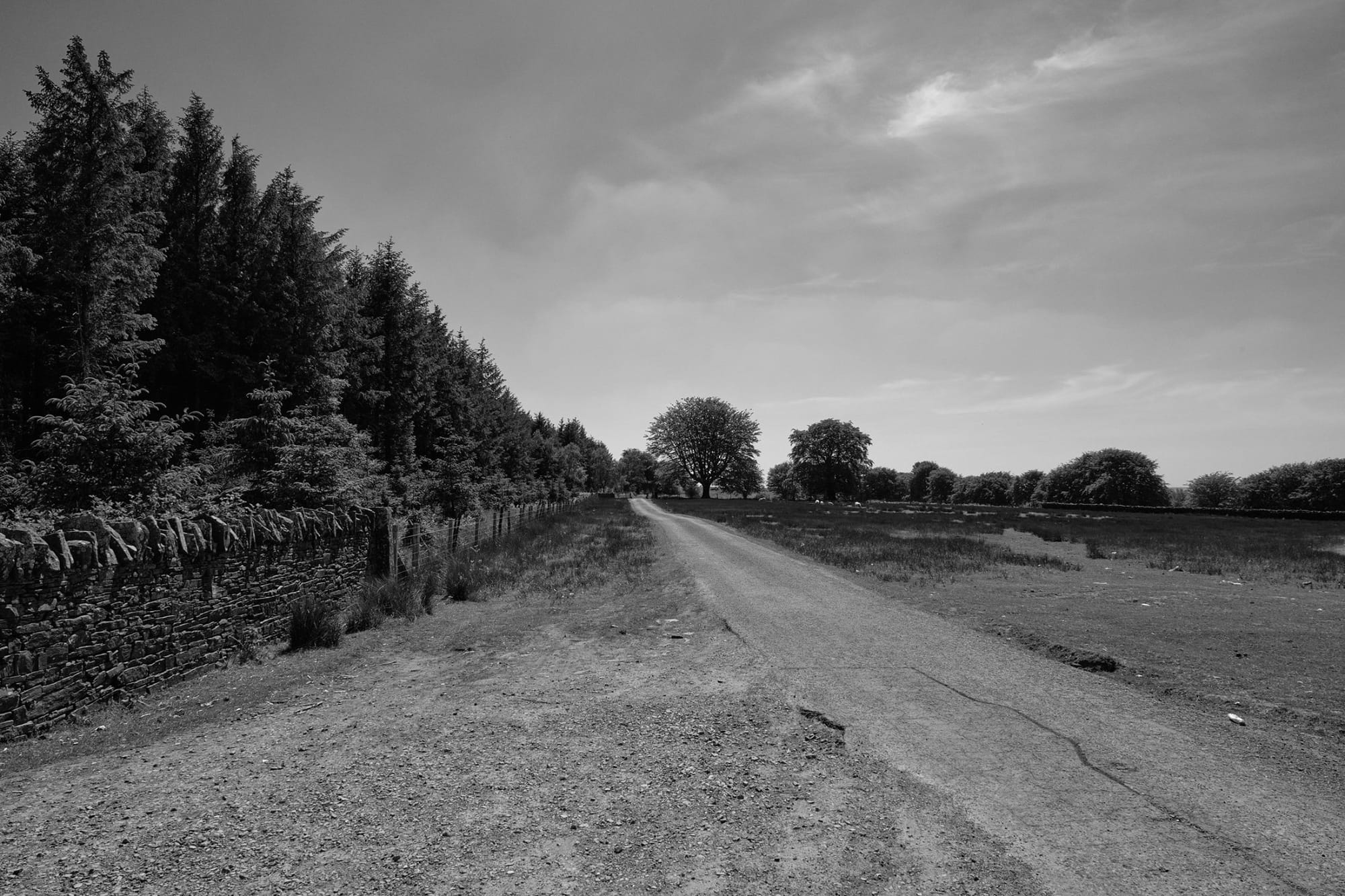 "We're on a road to nowhere"... - Tony De Sarzec