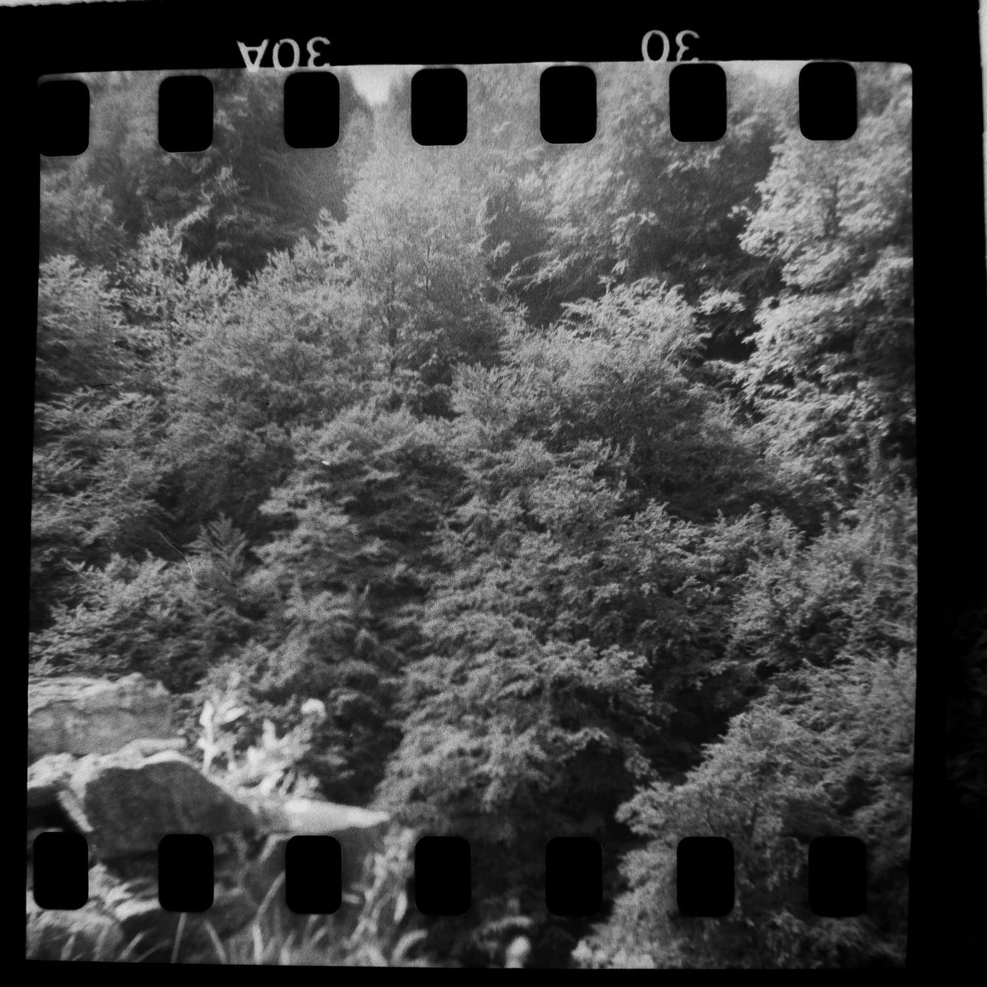 Untitled - Toby Vandevelde