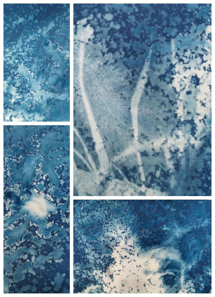 Playing with Cyanotype, vinegar and nature  - Rachel Louise French