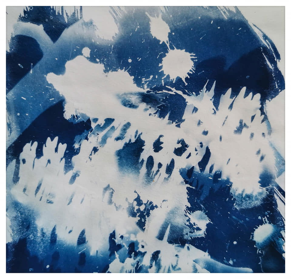 Playing with Cyanotype, vinegar and nature  - Rachel Louise French