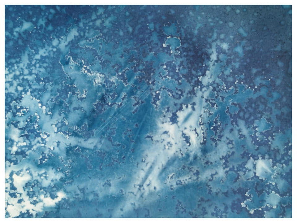 Playing with Cyanotype, vinegar and nature  - Rachel Louise French