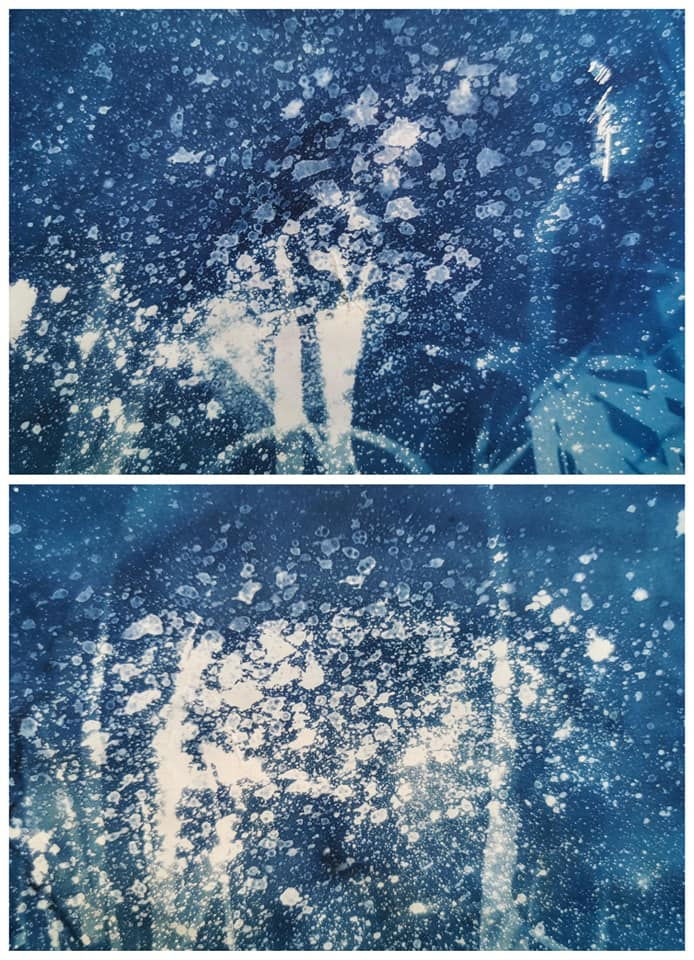 Playing with Cyanotype, vinegar and nature  - Rachel Louise French