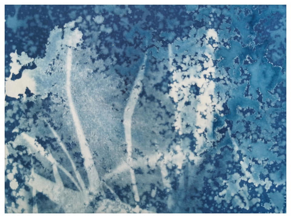 Playing with Cyanotype, vinegar and nature  - Rachel Louise French