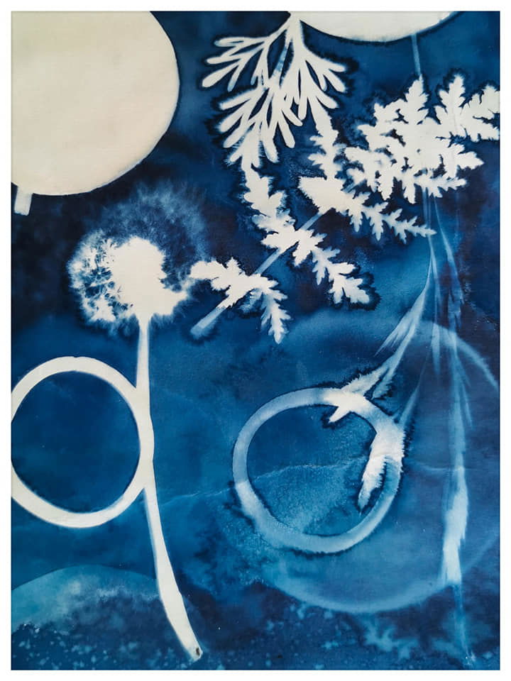 Playing with Cyanotype, vinegar and nature  - Rachel Louise French