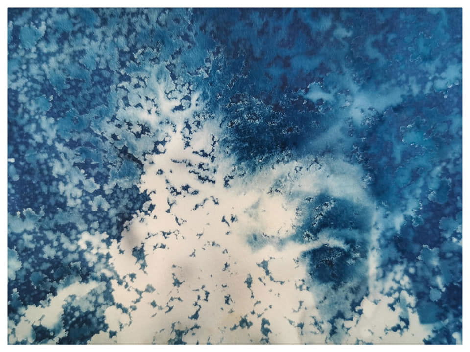 Playing with Cyanotype, vinegar and nature  - Rachel Louise French