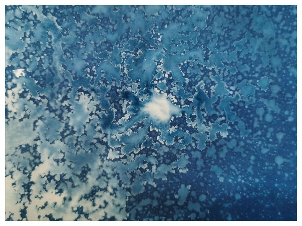 Playing with Cyanotype, vinegar and nature  - Rachel Louise French
