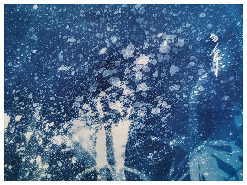 Playing with Cyanotype, vinegar and nature  - Rachel Louise French