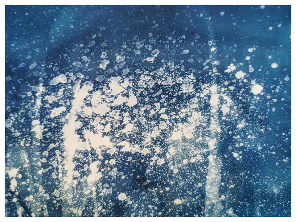 Playing with Cyanotype, vinegar and nature  - Rachel Louise French