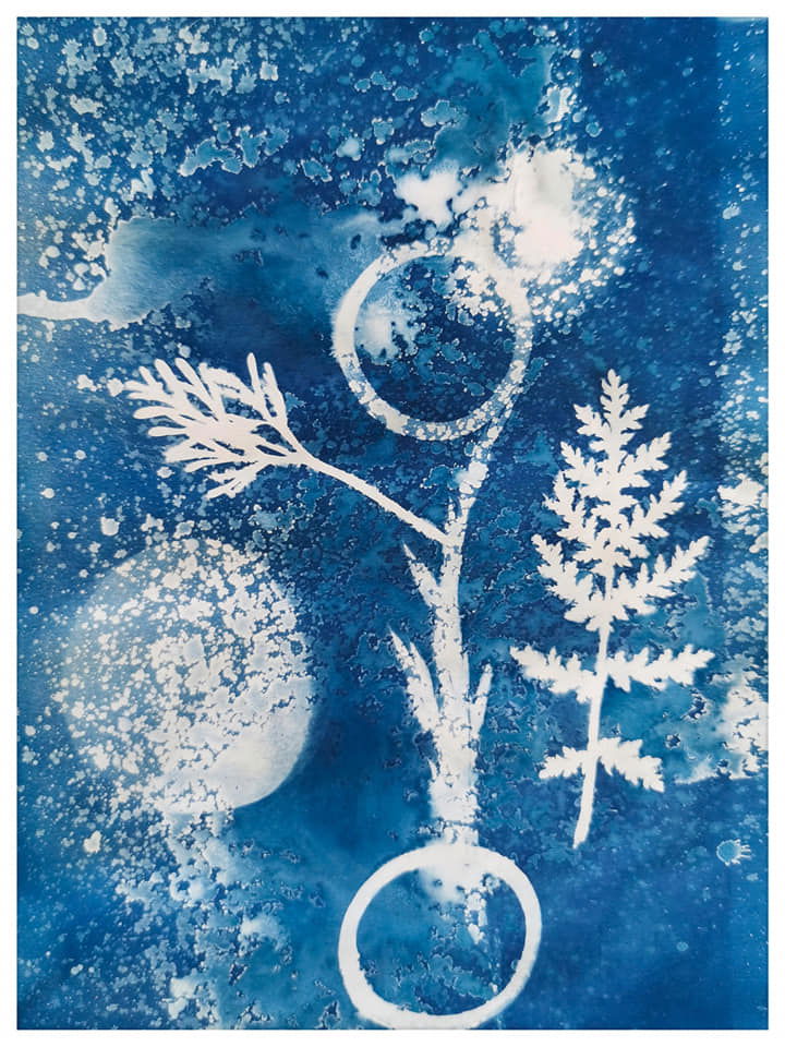 Playing with Cyanotype, vinegar and nature  - Rachel Louise French