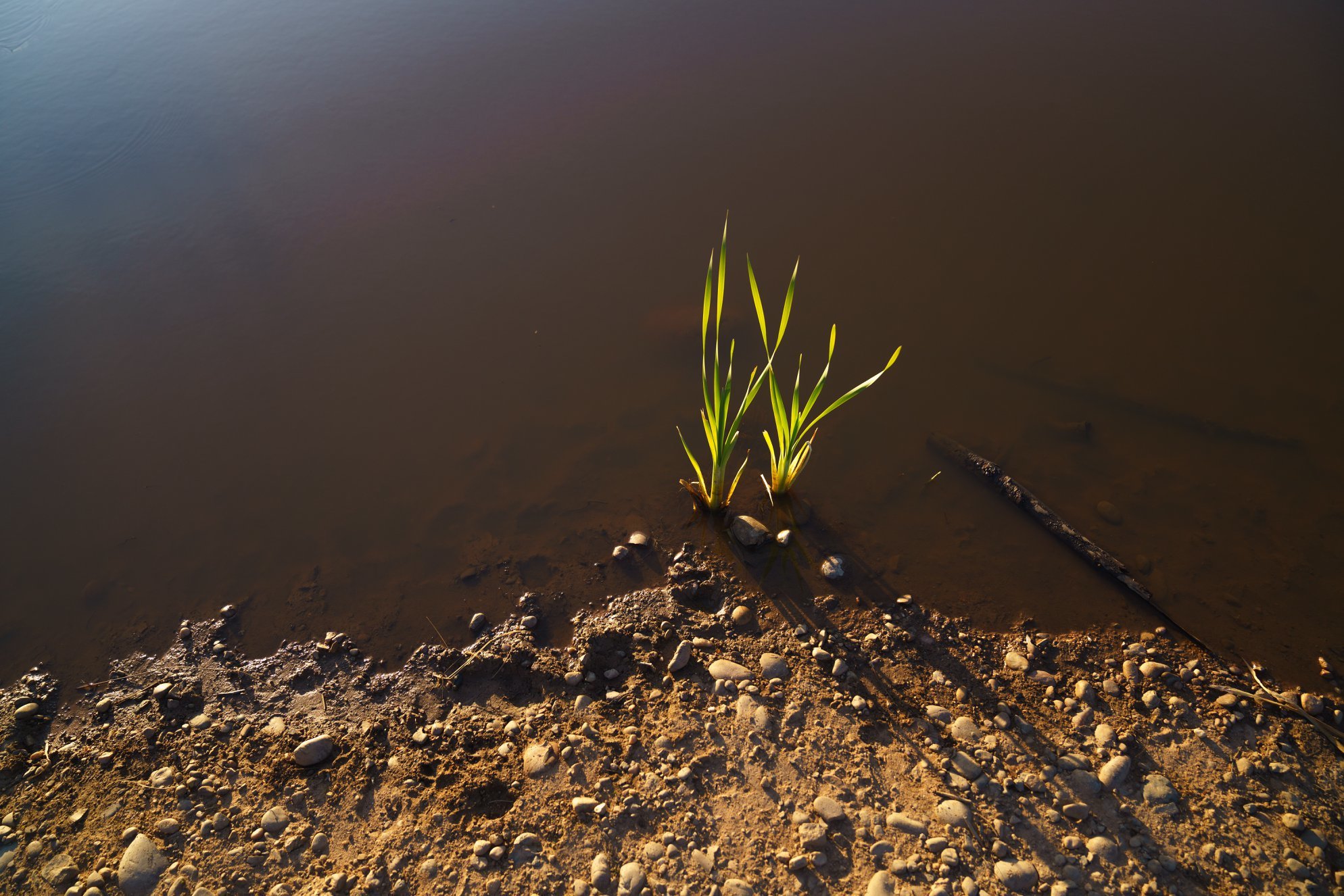 Untitled - Andy Thatcher