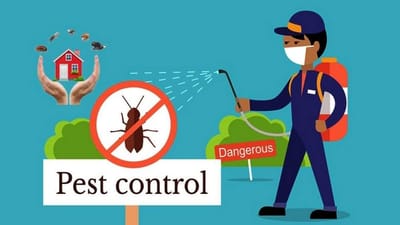 DIY Pest Control Service | Bed Bugs Control Services | | Cockroaches Control Services |