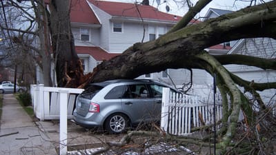 WHAT TO DO AFTER WATER AND STORM DAMAGE IN SOUTHLAKE TX?