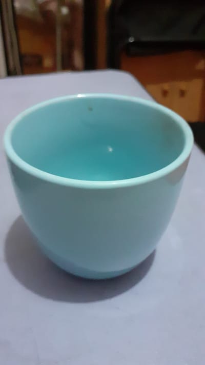 A VIDEO PRESENTATION OF CPLI's ORIGIN, GOALS, PLANS AND VISION