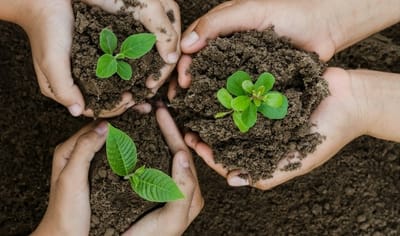 GRAFTED IN FOR CHURCH PLANTING (PPX)