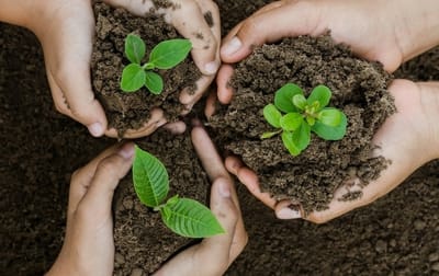 EFFECTIVE CHURCH PLANTING STRATEGIES (PPX)