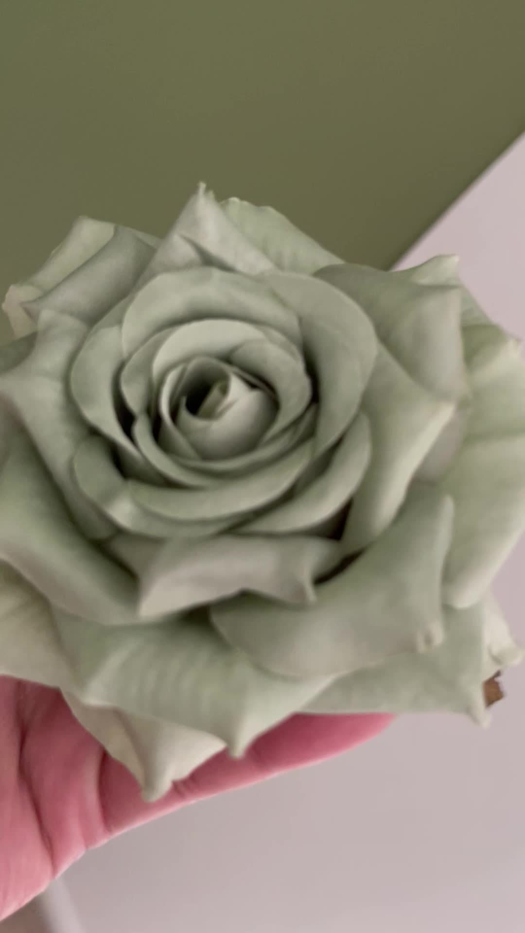 50 x ROSE BELLA ( SAGE GREEN) - Artificial Flowers Keighley UK