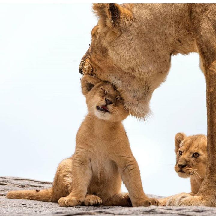 Big Five
