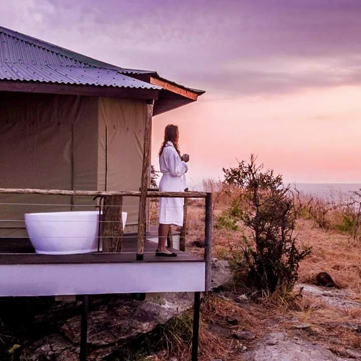12 Honeymoon Safari