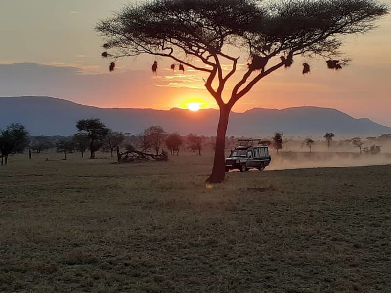 3 Days Tanzania Camping Safari