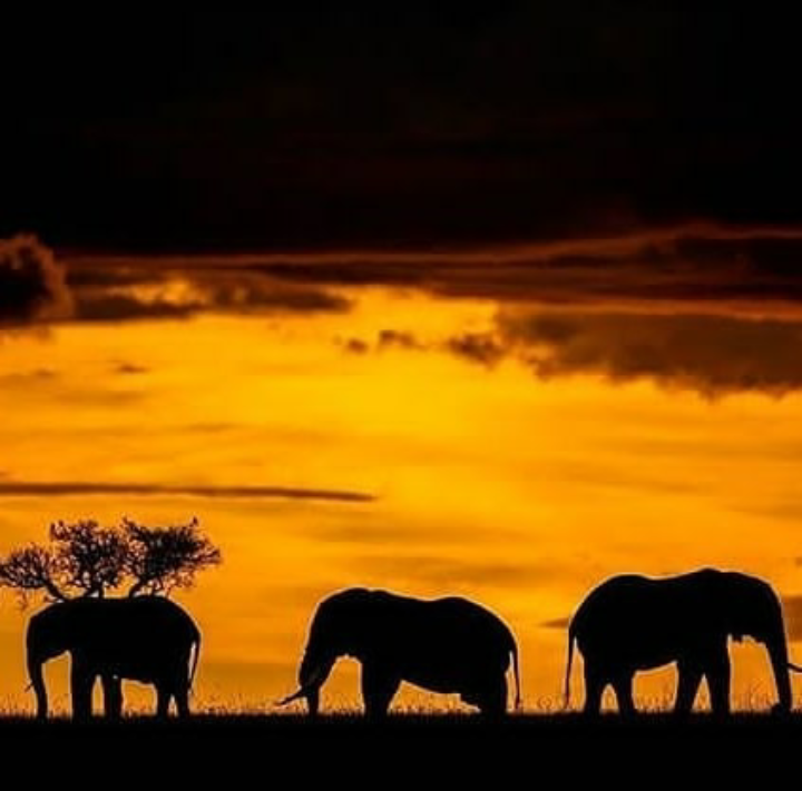 Southern Circuit Tanzania Tours & Trips