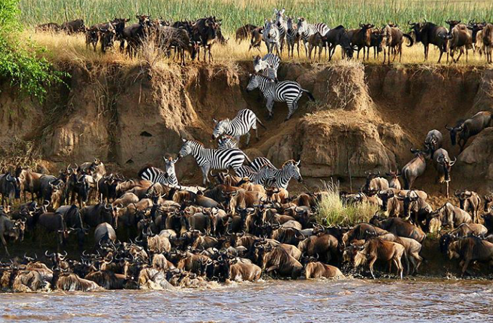 Great Migration Safari & Zanzibar
