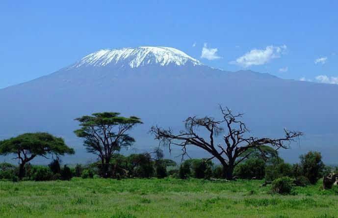 8 Day Mount Kilimanjaro